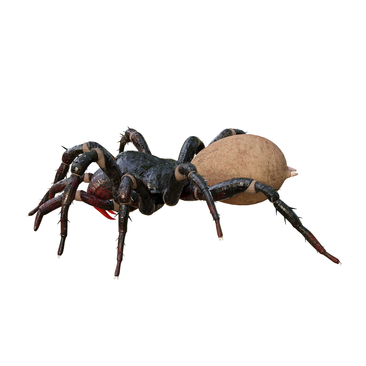 Crawling spider 3D animated model