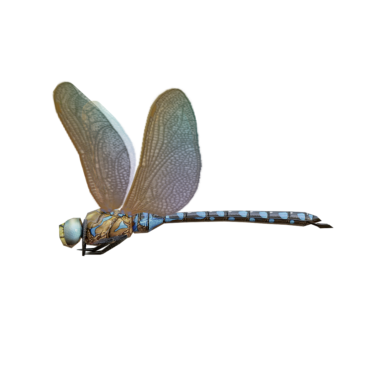 Dragonfly