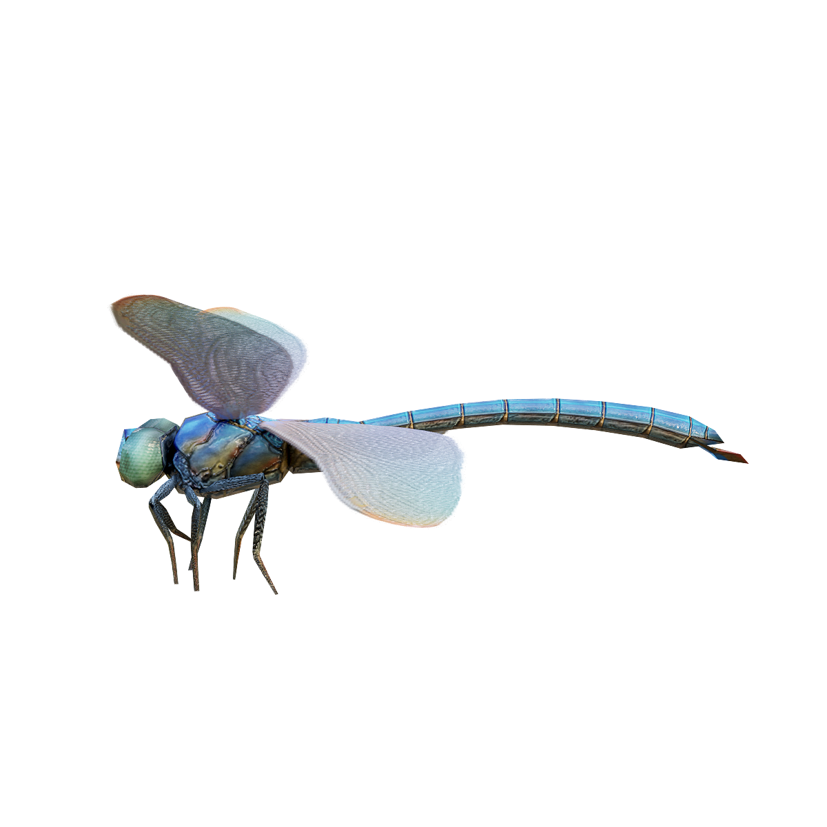 Aqua green dragonfly