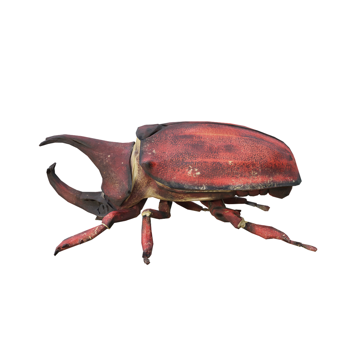 3D Animated Model of Rhino Beetle