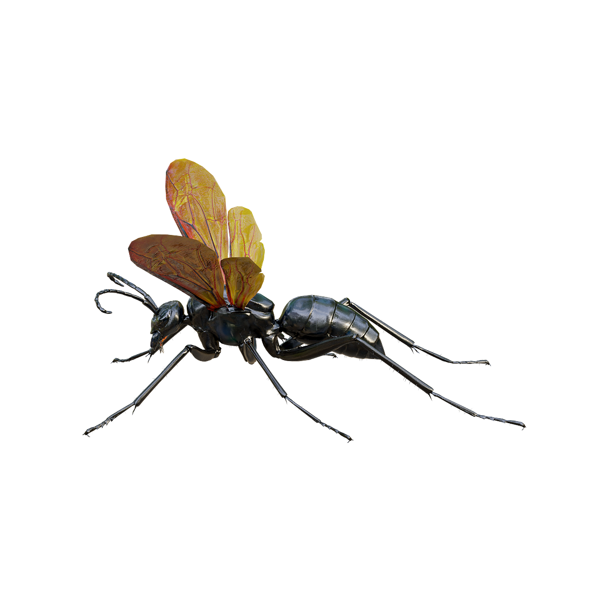Spider Bee