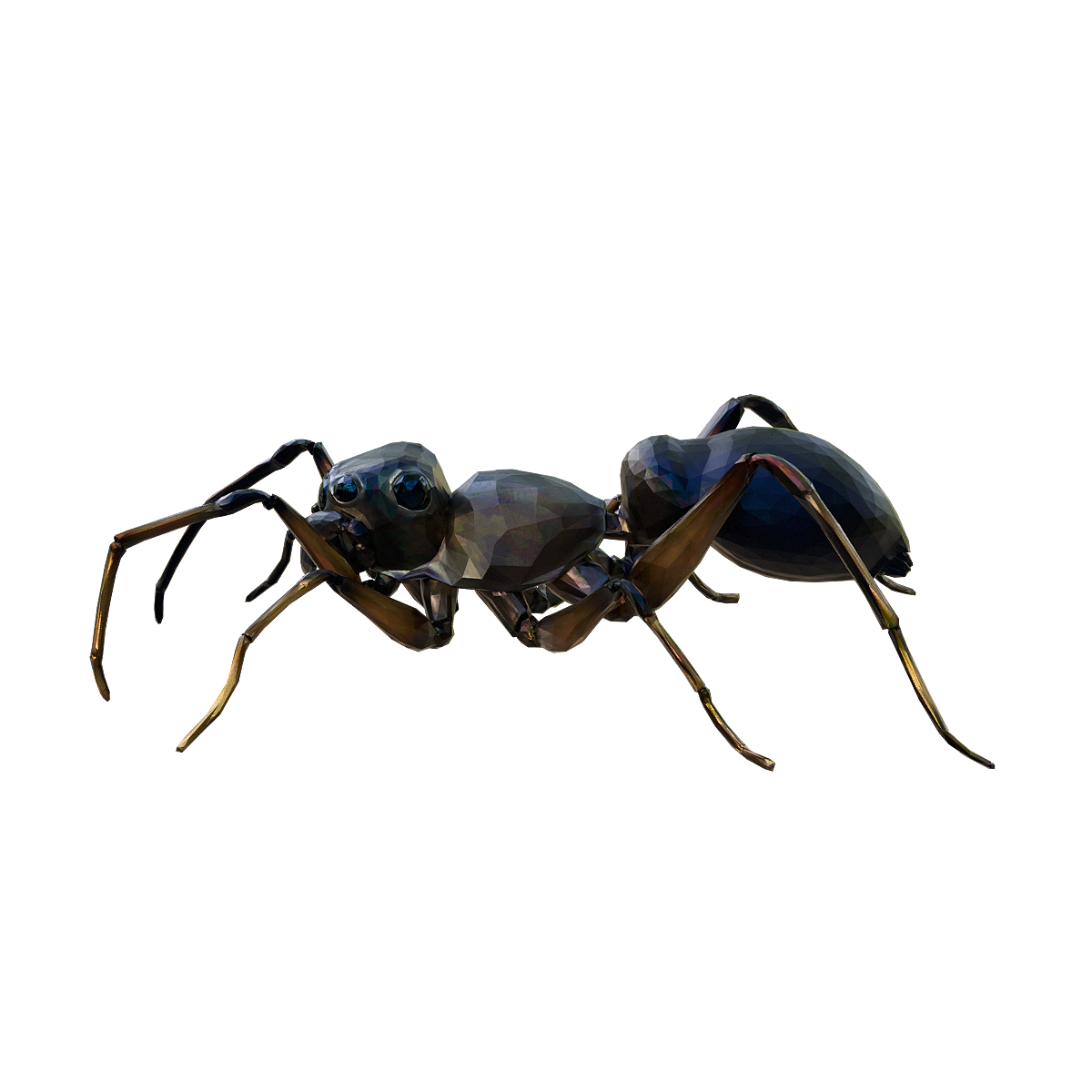 蚁蛛3D模型动画