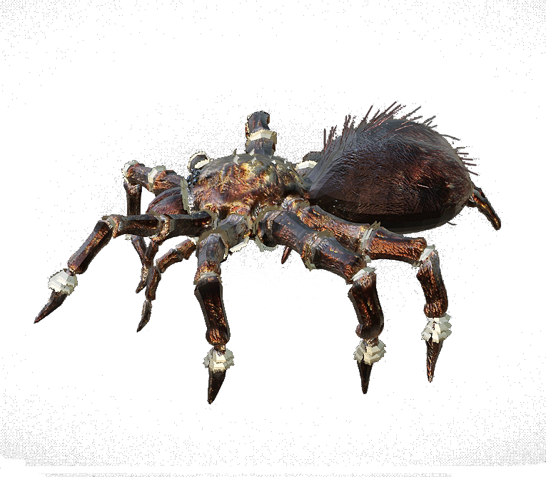 3D model animation of tarantula