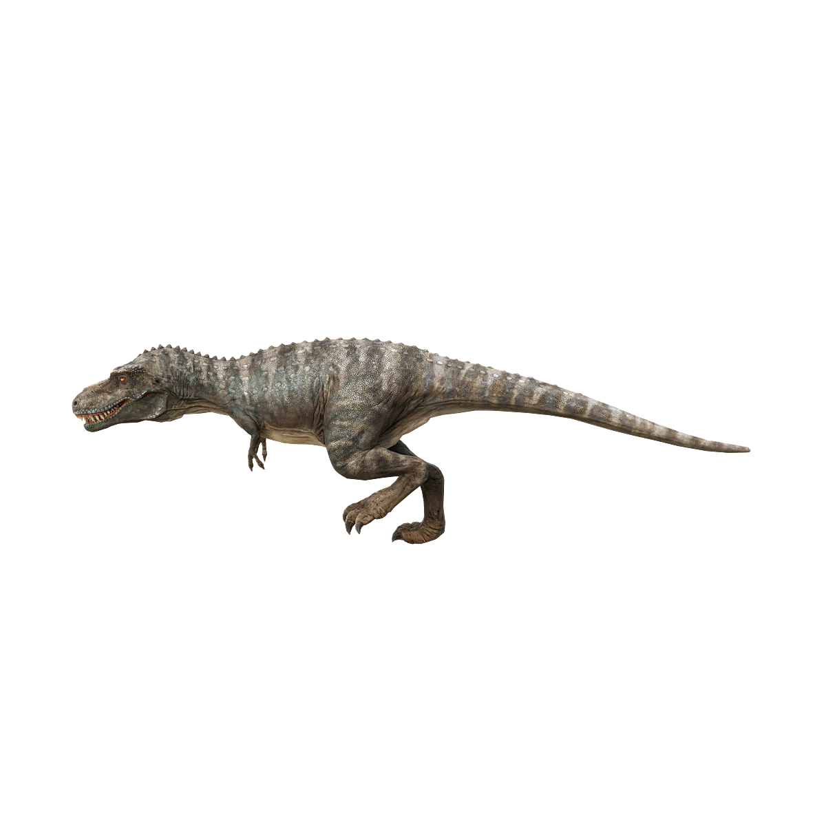 Tyrannosaurus Rex Walking 3D Animated Model