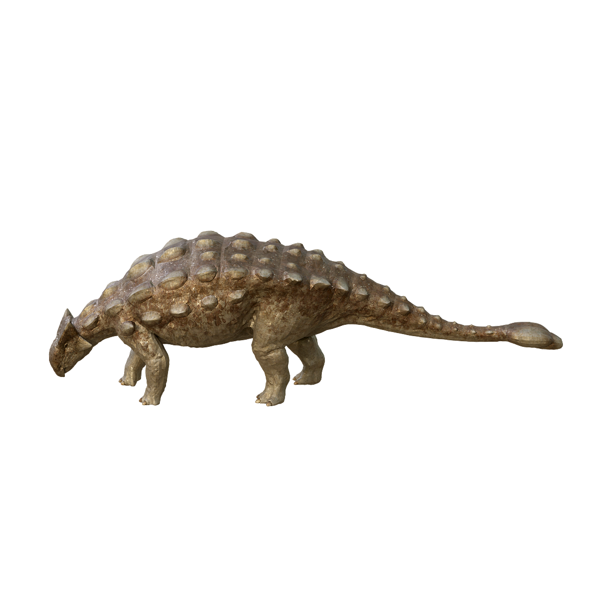 Anchor 3D Model Animation