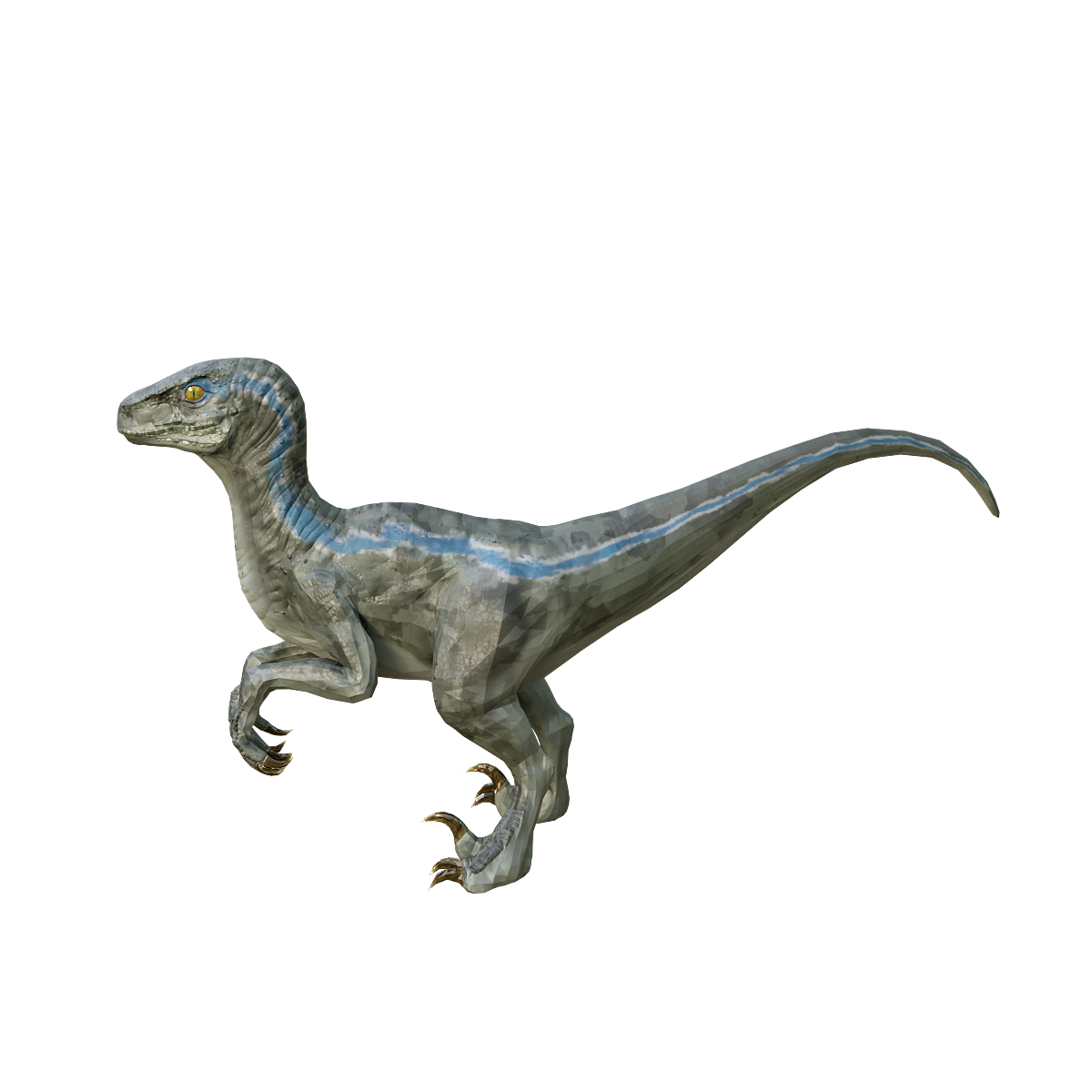 Velociraptor 3D Model Animation FBX Model