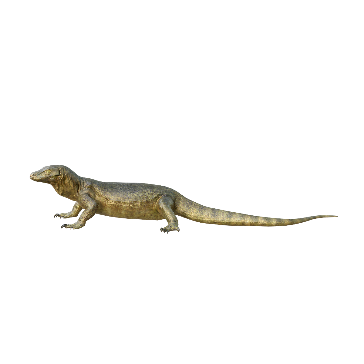 Komodo dragon 3D model animation