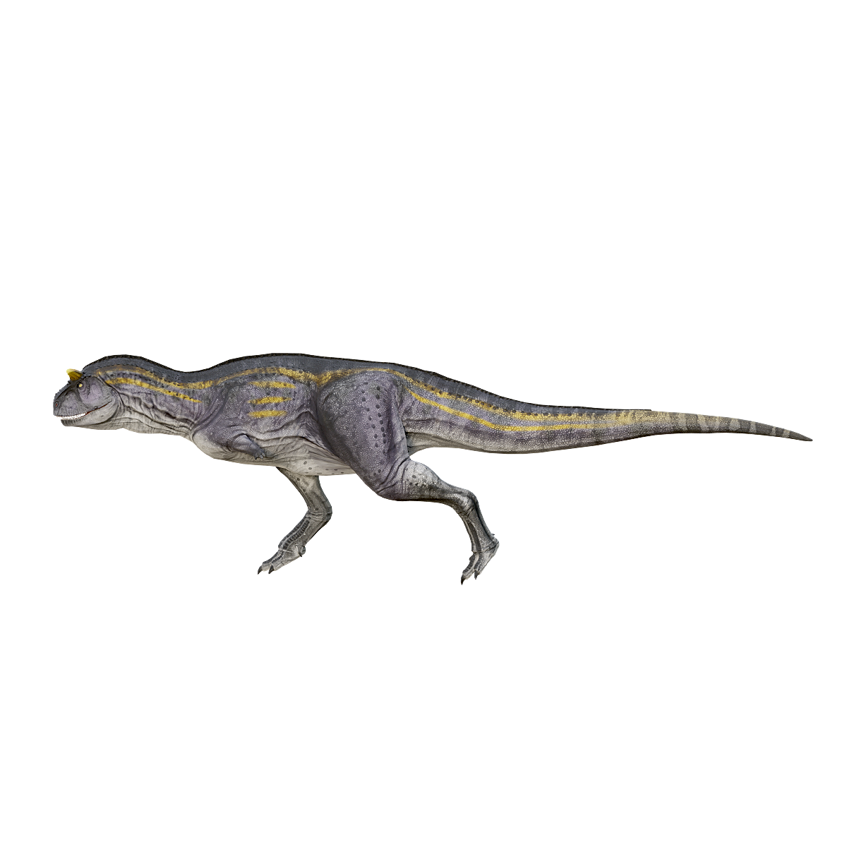 Lizard Dragon King 3D Model Animation