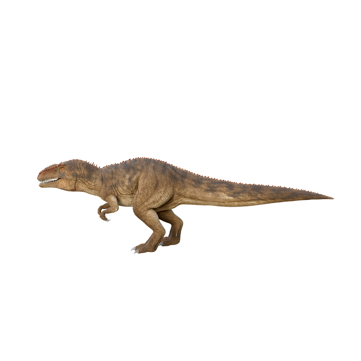 Behemoth Dragon 3D Model Animation