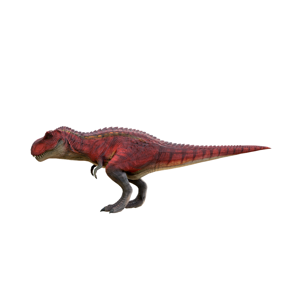 Red Tyrannosaurus Rex 3D Model Animation