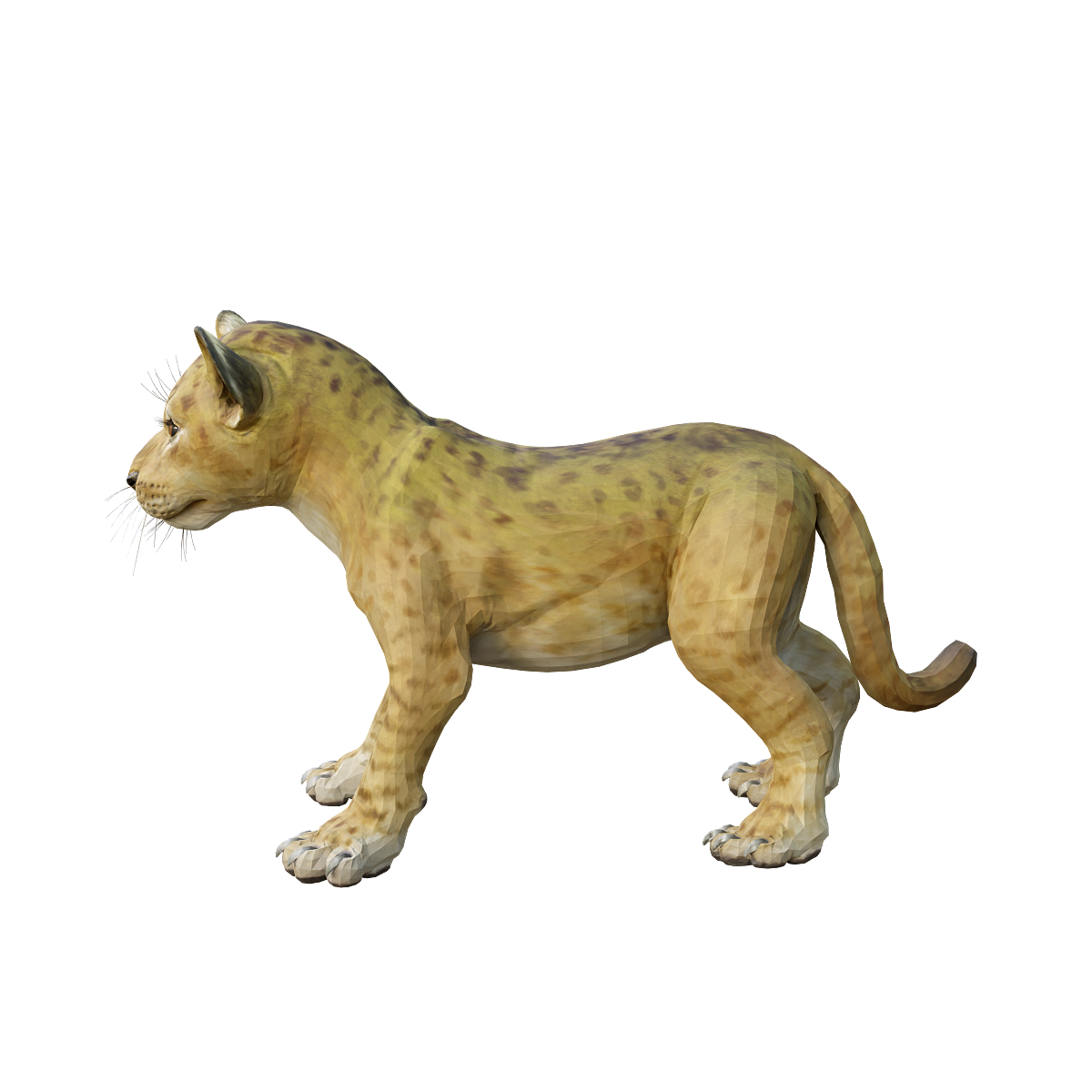 Lion Cub 3D Model Animation