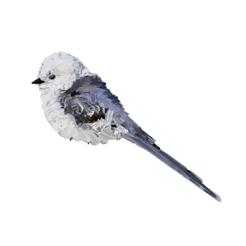 North Long Tail Tits 3D Model Animation