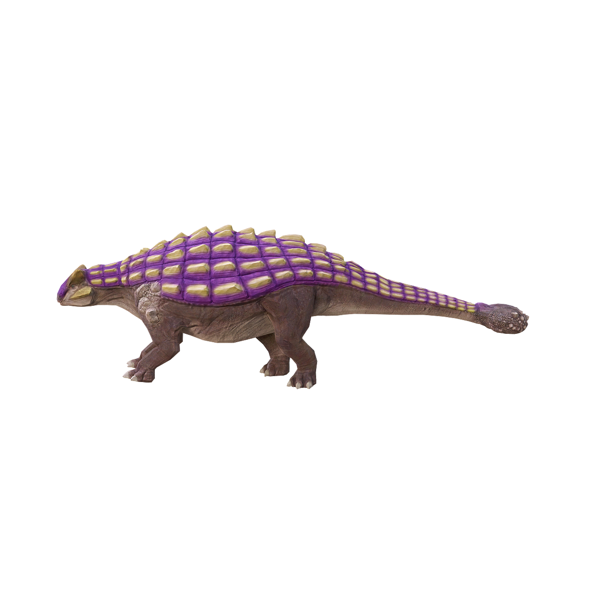 甲龙3D模型动画