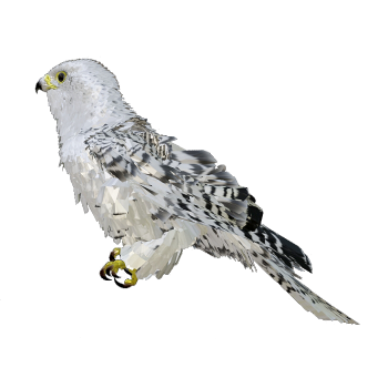 spear falcon 3d model animation