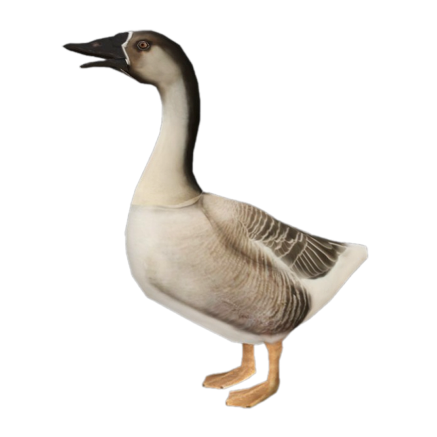 Big Goose
