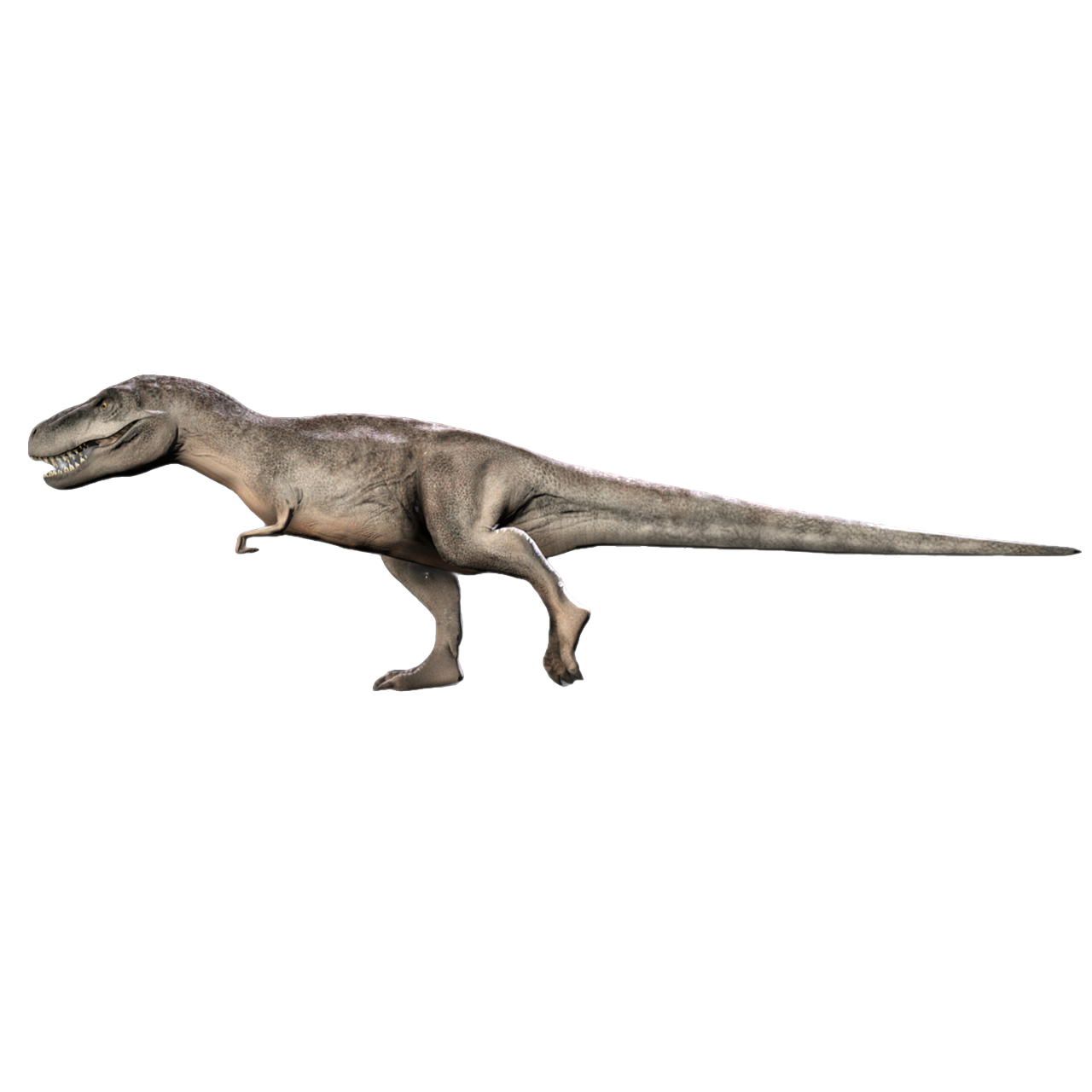 The Tyrannosaurus in the game Jurassic World: Evolution