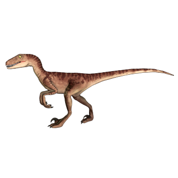 Velociraptor in the game Jurassic World: Evolution