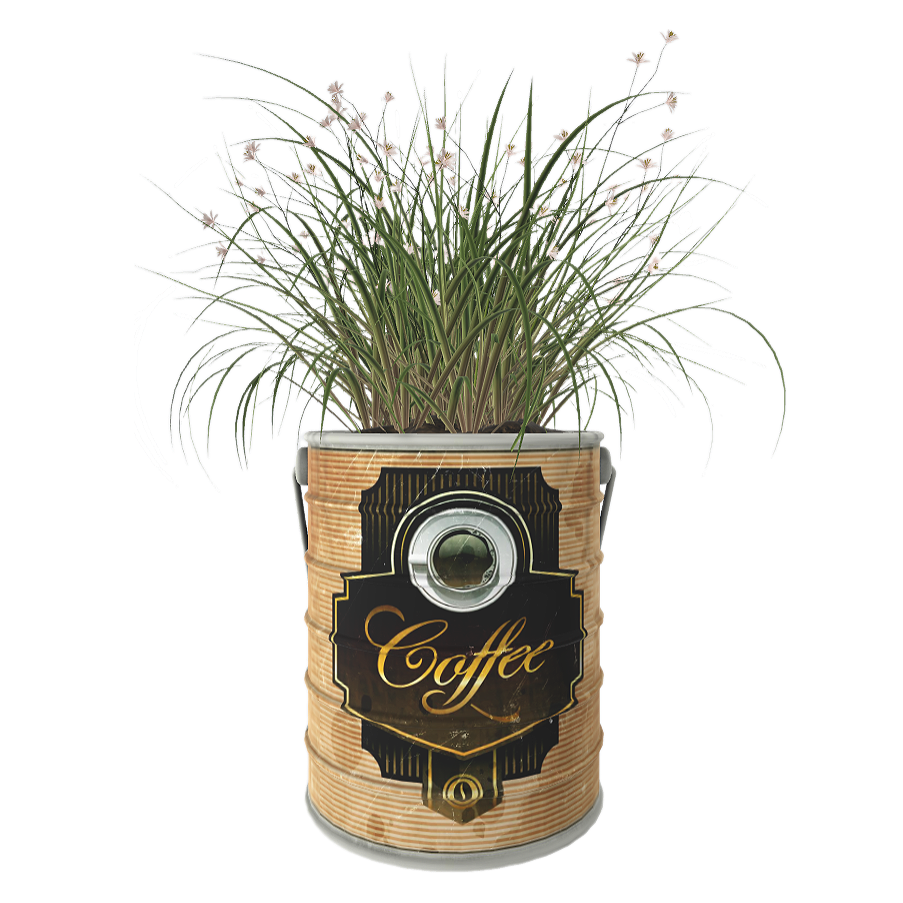 White Thousand Bird Flower Potted Plant