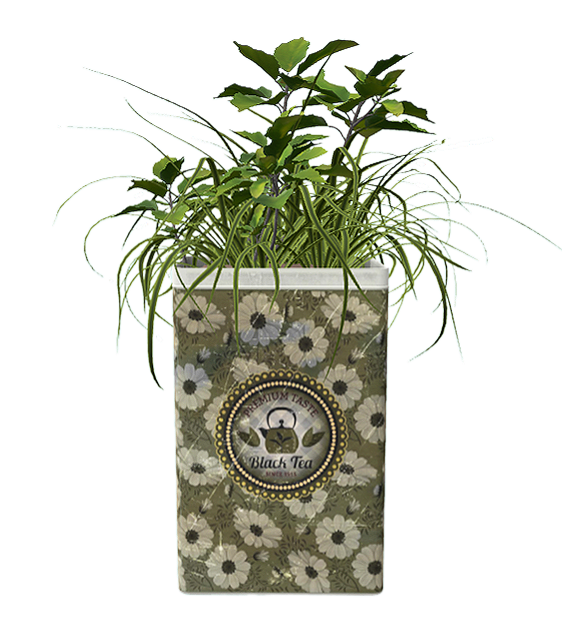 Flower leaf green ivy potted plant