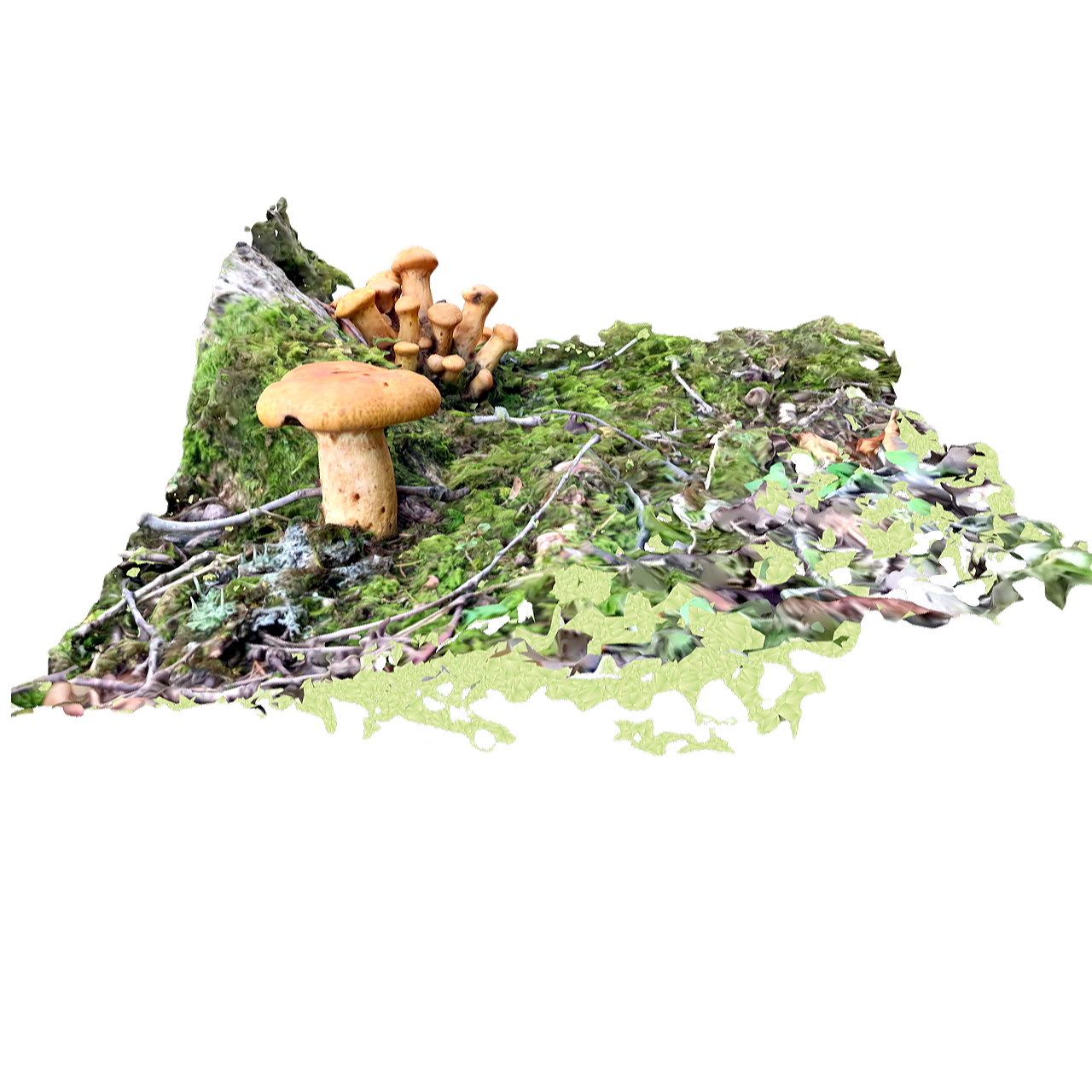 Orange naked umbrella