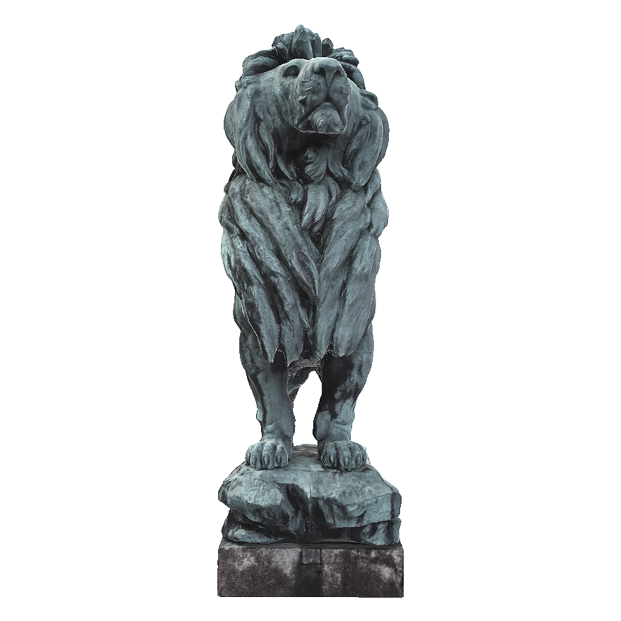 The male lion gazing out