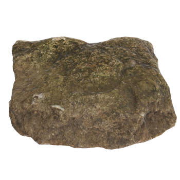 Coarse grained sandstone