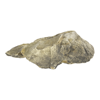 Sandstone