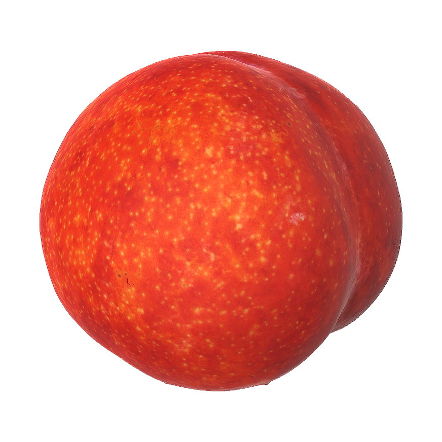Red Plum 3D Model