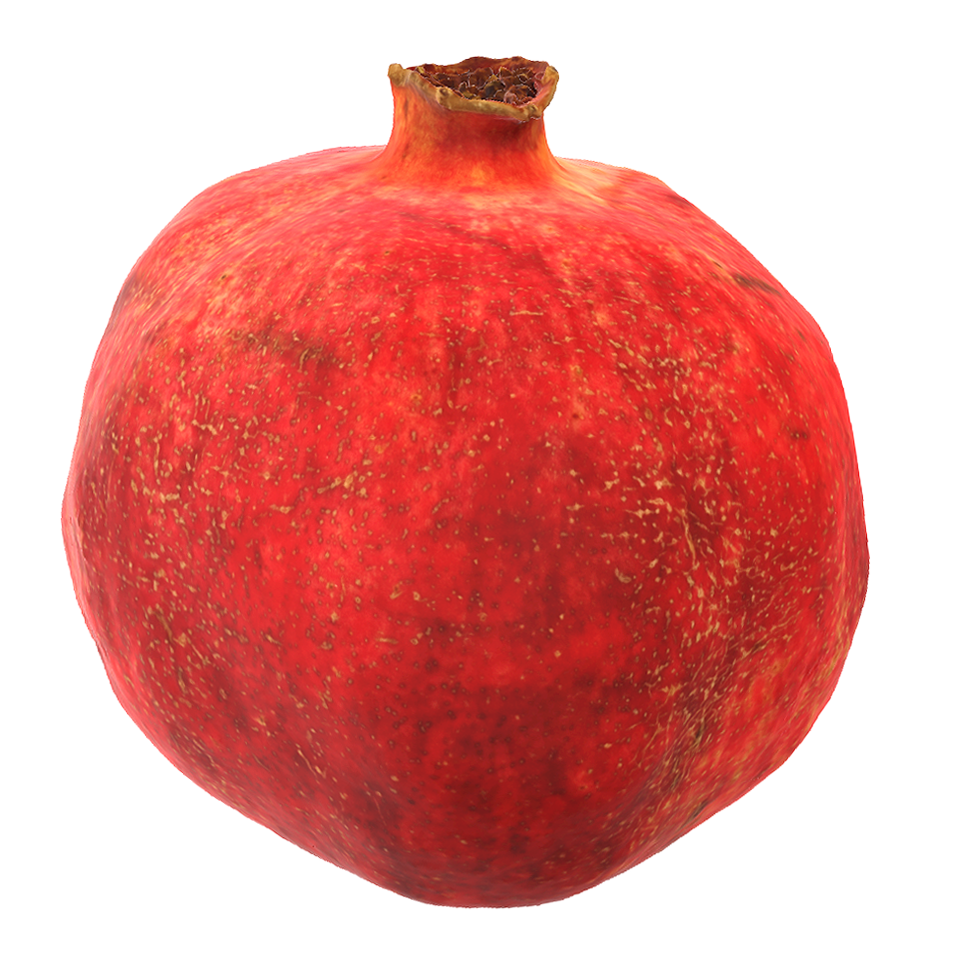 Pomegranate 3D model