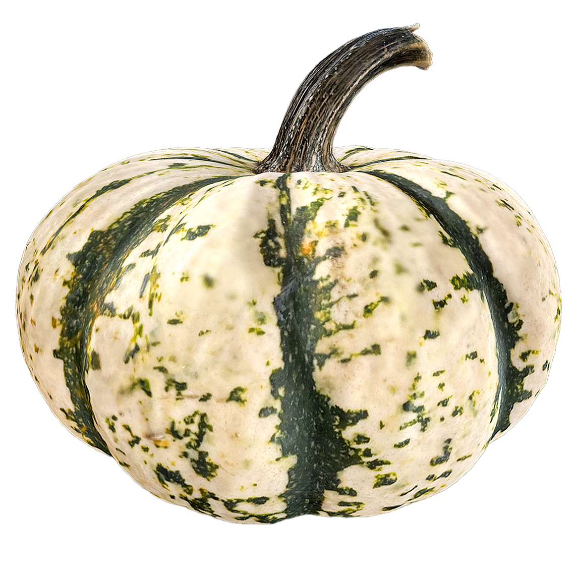 Sweet Dumplings and Pumpkin 3D Model