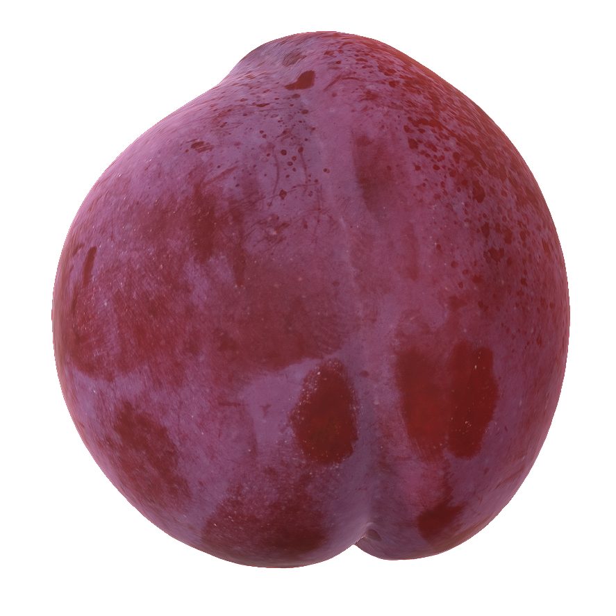 Plum 3D model