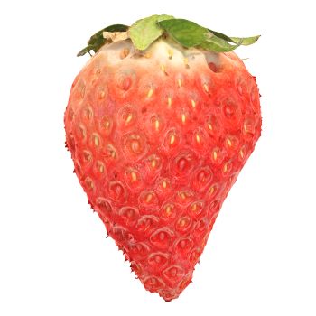 Strawberry 3D model