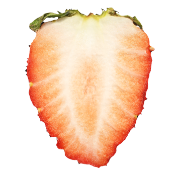 Half a 3D model of a strawberry