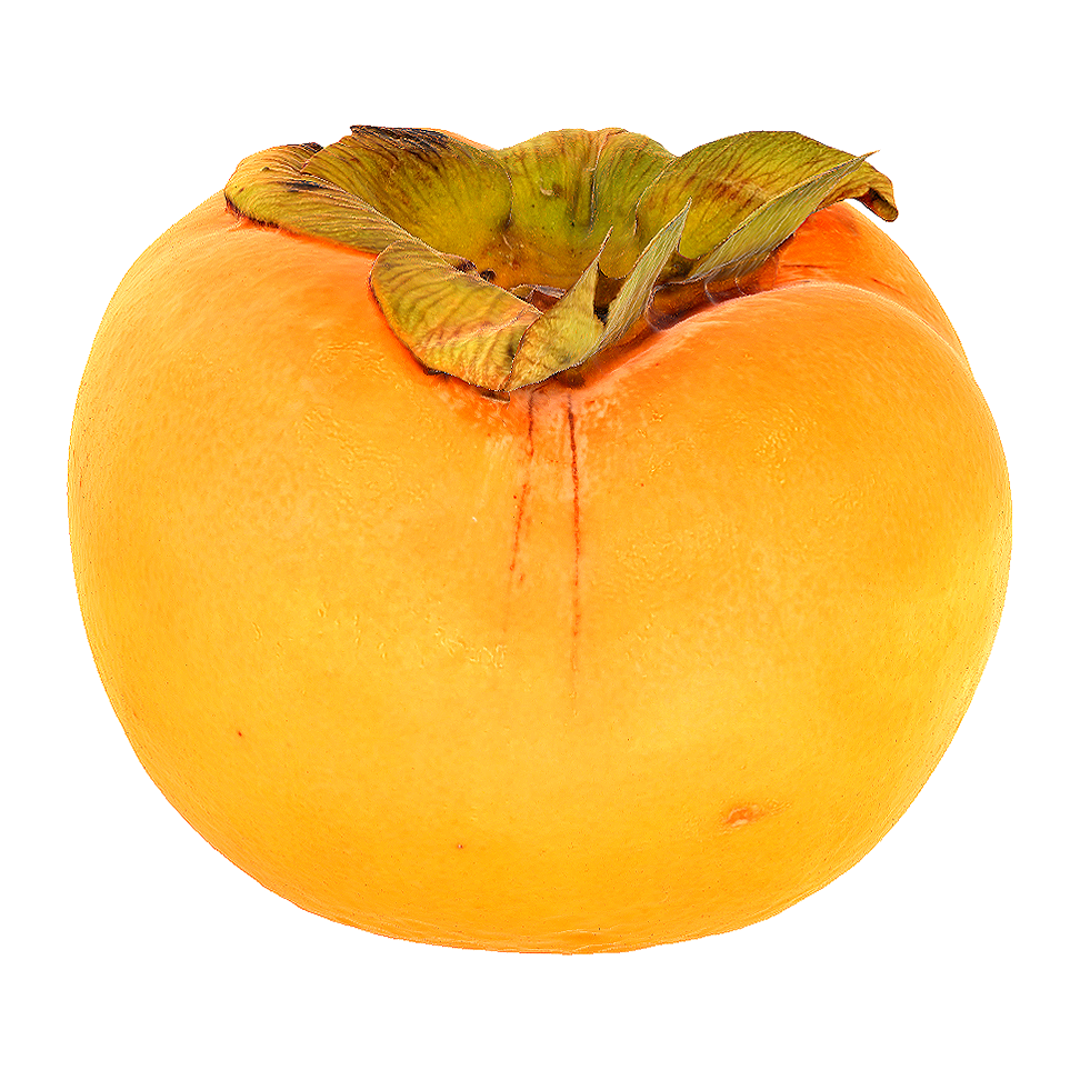 Yellow persimmon 3D model