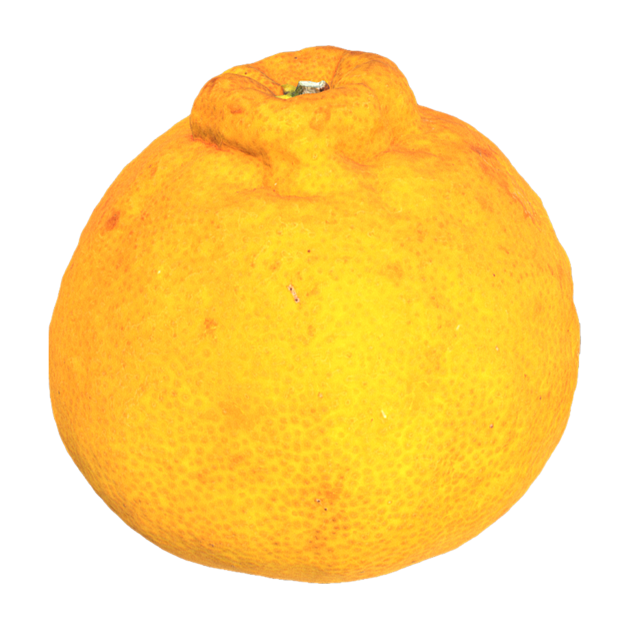 Unknown Fire 3D Model