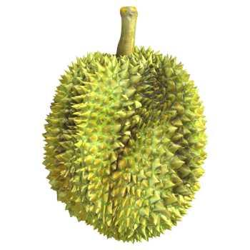 Durian