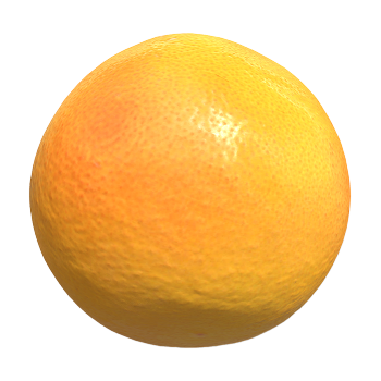 Grapefruit 3D model