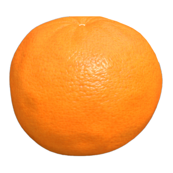 Citrus 3D model