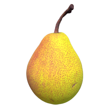 3D model of fragrant pear