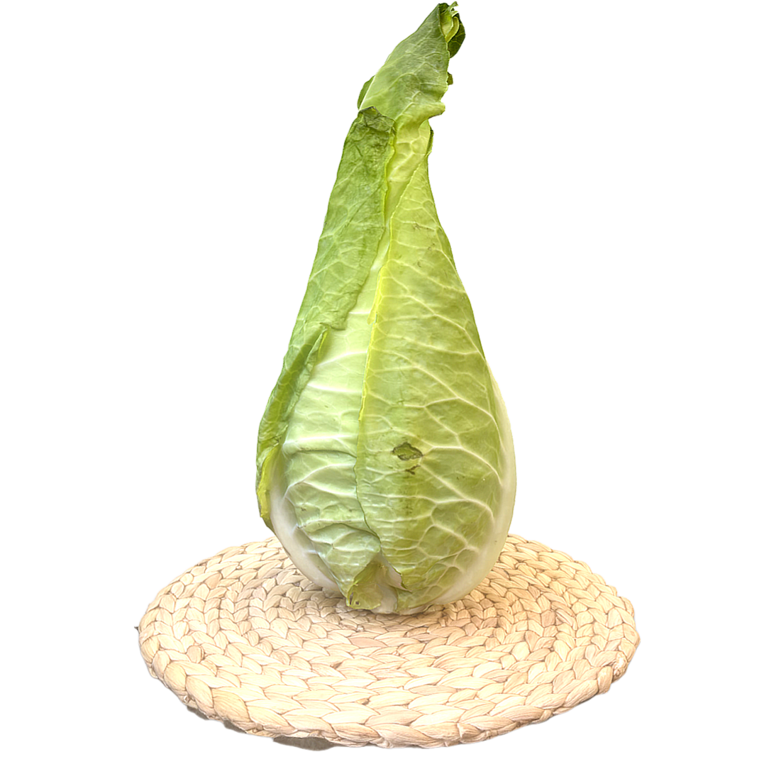 Beef heart cabbage 3D model