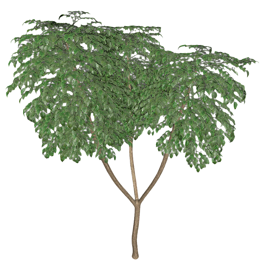 Four Seasons Gui 3D Model