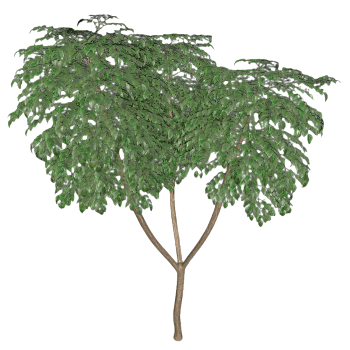 Four Seasons Gui 3D Model