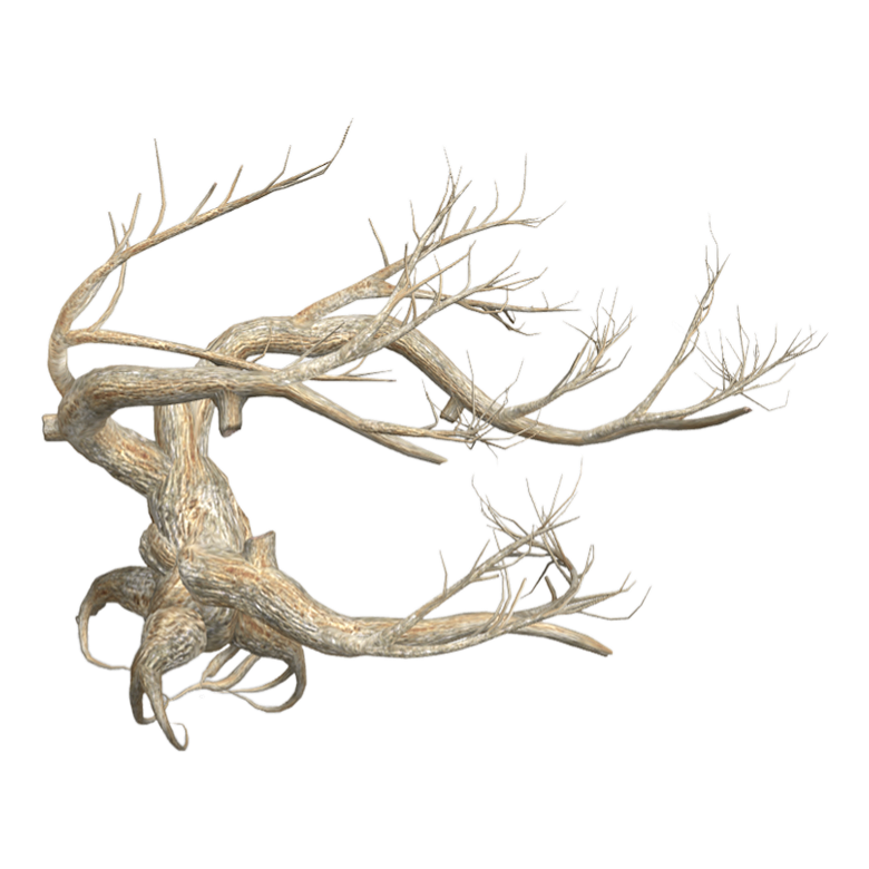 3D model of withered tree