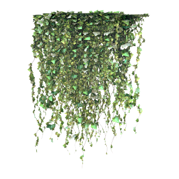 Ivy 3D model