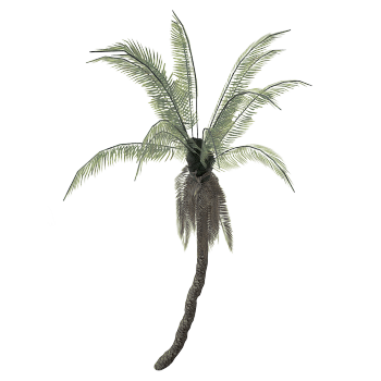 3D model of jujube