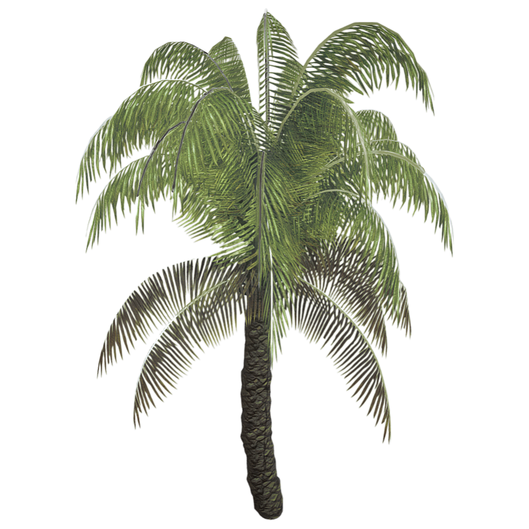 Canary date 3D model