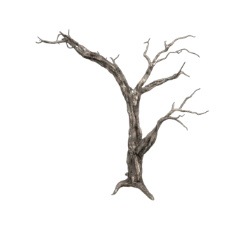 A withered old tree