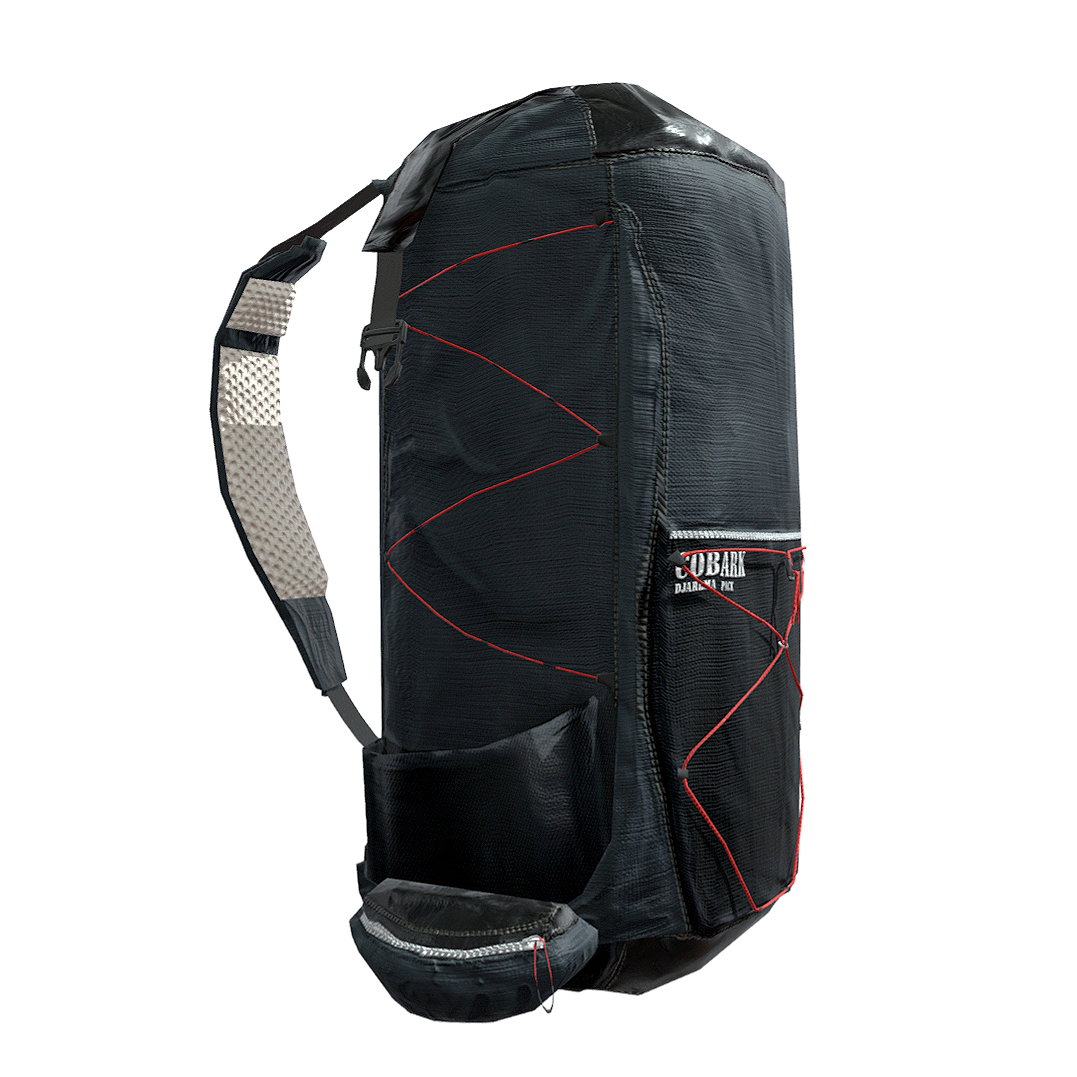 Outdoor hiking travel bag 3D model