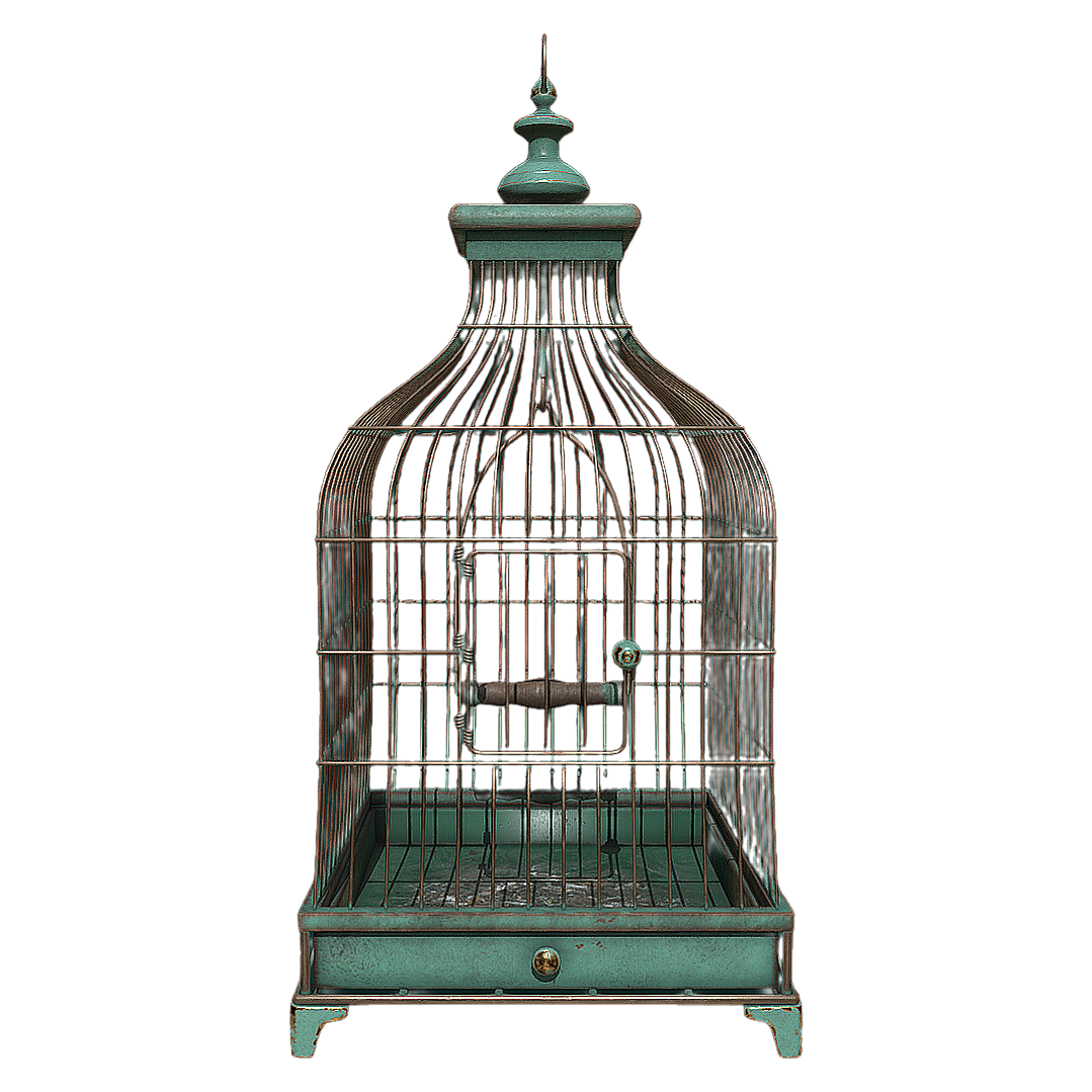 Bird cage GLB model