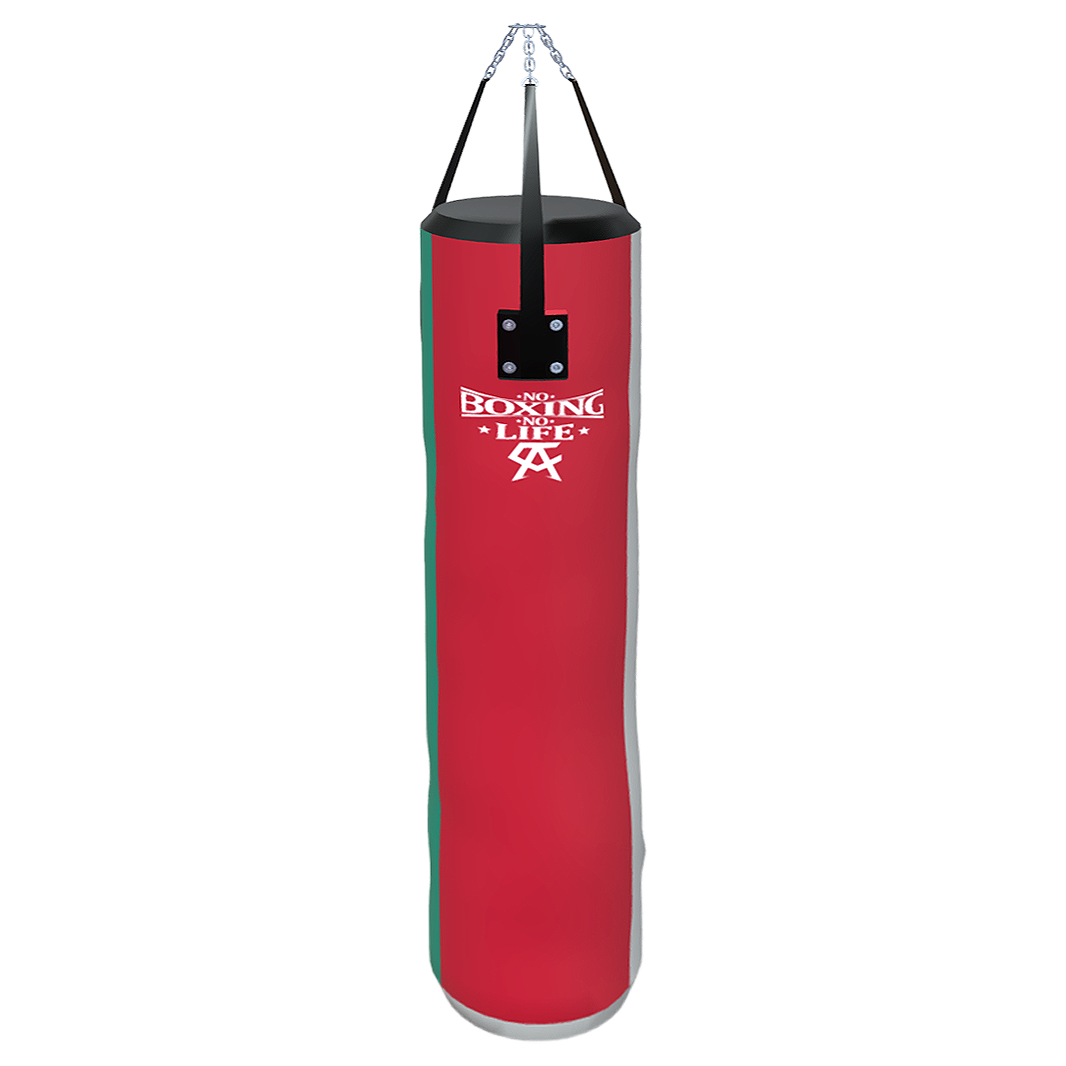 Professional Boxing Sandbag 3D Model